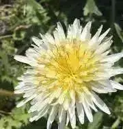 庭ꕤ プロフ必読