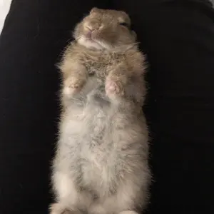 yi_♡ プロフ必須