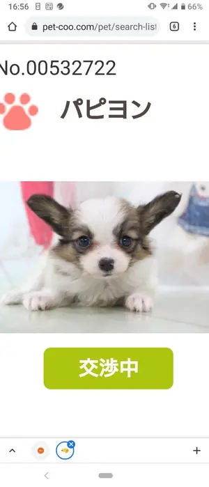 インフィニット・ストラトス セシリア・オルコット 夢の中のシャワー