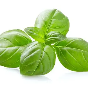 バジル