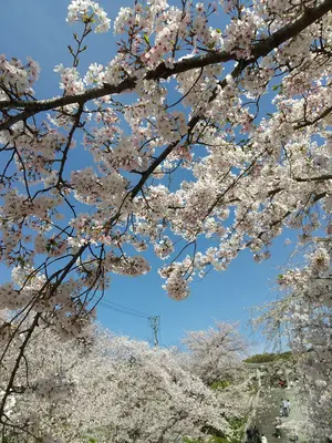 ゆあ★まとめ売り中