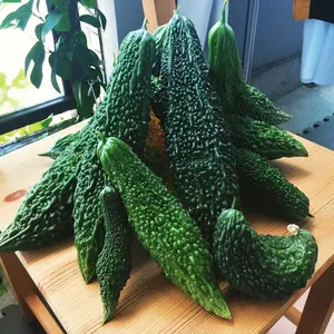 MARIA ポップクイーン t-1000 限定 4サイズ全て ステッカー付き - メルカリ