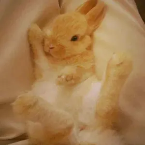 じーな