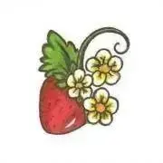 DANSKIN アレグロプルオーバートップス フレアー - メルカリ