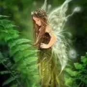 カタカムナ医学の進化論! - メルカリ