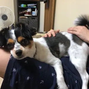 モクン