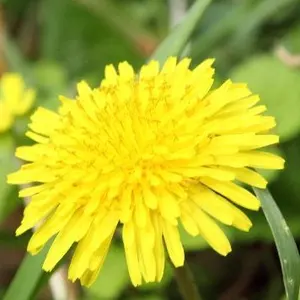 ピンブローチ B'z BREAK THROUGH 1990 初期 公式グッズ - メルカリ