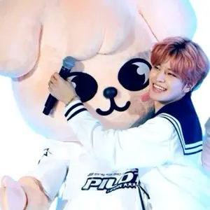straykids 『Hollow』 FC限定盤 スンミン 【新品未開封】2枚