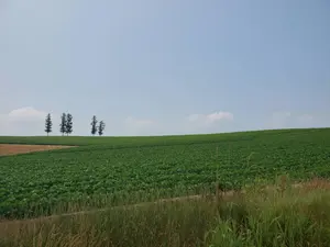 Porter Classic ウールカバーオール ウールブルゾン サイズ2 - メルカリ