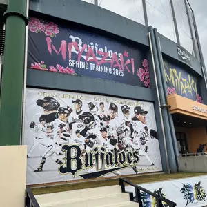 2024 BBM 1st 横浜DeNAベイスターズ 武田陸玖 サイン 75枚限定 - メルカリ