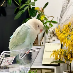 コトハヨコザワ TODOウェーブプロングスリーブトップス ブラック