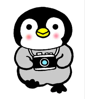 ☘️レンズ交換不要✨遠近撮影✨カメラバッグ付✨スマホ転送