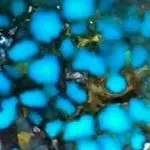 Jerry J. Nelson ターコイズ リング Jerry J. Nelson ターコイズ リング Jerry J. Nelson ターコイズ