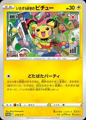 PSA10 ピカチュウ プロモ 224/SM-P みんなでいわう ポケモンカード