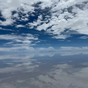 専用ページになります。菅貞子モイスチャークリーム 美容針クリーム