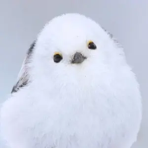 はこねこ【プロフ必読】