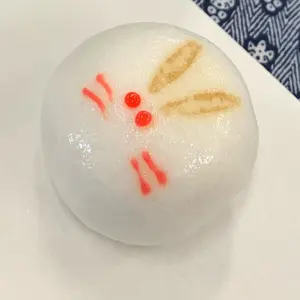 大吉巧馬の図形問題が面白いほどとける本 - メルカリ