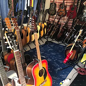 最終特価❣️極美品❣️70s 国産ビンテージ❣️ProMartin F-170 良音