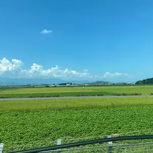 未開封！SKET DANCE（スケットダンス） 複製原稿 ジャンプ博覧会2013
