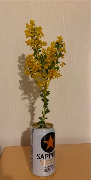 【激レア】04 Limited Sazabys サインライブ写真集　スタッフパス 激レア】04 Limited Sazabys サインライブ写真集 スタッフパス - メルカリ