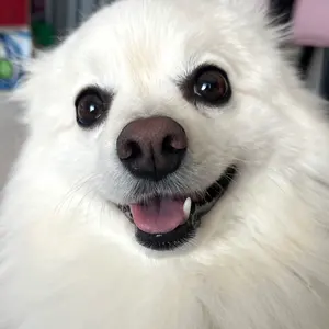 新品未開封】ジグソーパズル1000ピース スーパーニンテンドーワールド