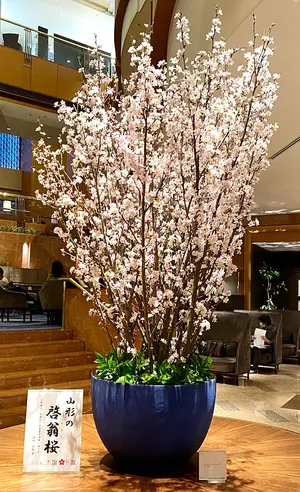 定価39.6万】イザイア カシミヤ100% コート - メルカリ