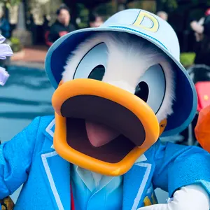 ディズニー、バイナルメーション（ピーターパン、犬） ディズニー バイナルメーション ピーターパン ナナ 犬 フィギュア