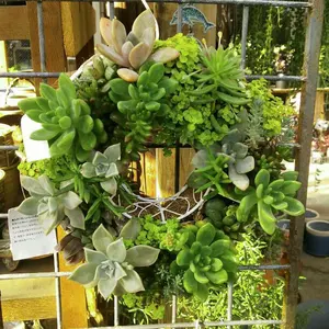 寒山拾得 観山南條正一 画集 - メルカリ