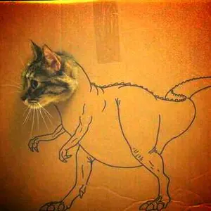 忍【同梱でお値引可