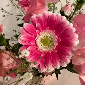 専用✧ジェニィラブ＆エニィファム✧新品✧おまとめ130 - メルカリ