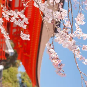 新品・希少】特大号 9寸 出刃包丁 プロ仕様 高級VG10鋼鏡面仕上げ