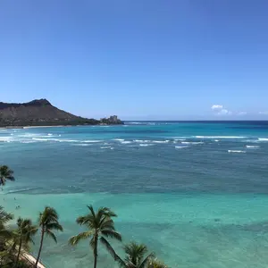 カシュガイ シラーズ ヴィンテージラグ vintage rug - メルカリ