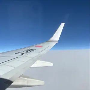 ANA Cargo Boeing 777-200 LRF ※最終値下げ - メルカリ