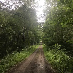 sakura❀様 リクエスト 4点 まとめ商品 - メルカリ