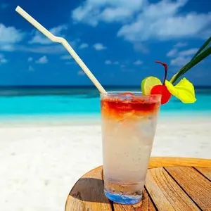 入手困難廃盤モデル/新品】ライフセービングユニフォーム水着 - メルカリ