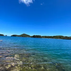 野中瑠衣 佐々木千紘 大島杏花 色紙サインセット - メルカリ