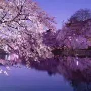 ゆき→プロフ確認願い/値下可能 の出品した商品 - メルカリ