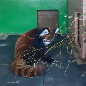 フリッツハンセン　サイドテーブル　pinage ミッドセンチュリー　ポストモダン フリッツハンセン サイドテーブル pinage ミッドセンチュリー ポストモダン