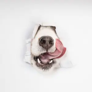 BTS  名札　バッチ　テテ　テヒョン　V BTS 名札 バッチ テテ テヒョン V BTS 名札バッチテテテヒョンV