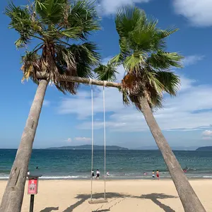 新品未使用】 ル・クルーゼ ココット・ロンド 22cm ワサビ - メルカリ