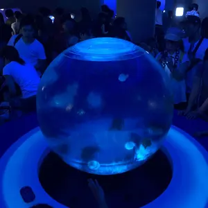 いちー プロフ必見