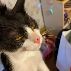 A⚠️プロフィール必読