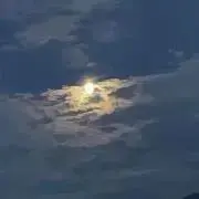 頭の中までオーダーメイド