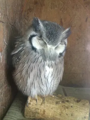 かすみ⭐️プロフ読んでくださいね。⭐️