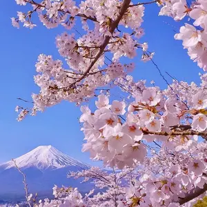 ゆの@まとめ買い1点毎に80円引き