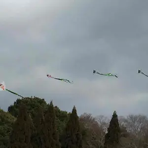 和田玉（ホータン玉）彫刻ペンダント 1.61インチ - メルカリ