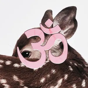 TV Girl Four Classic MERCH Albums 2枚組CD - メルカリ