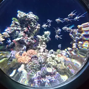 RYU KAGA リュウカガ チュールベスト - メルカリ