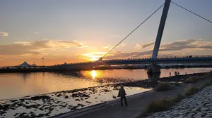 &TEAM ニコラス AWAKEN THE BLOODLINE 埼玉 抽選トレカ - メルカリ