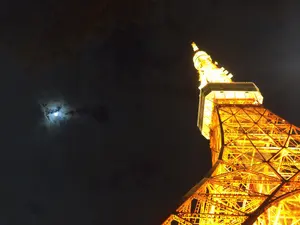 ゆっちょん　⭐️各種割引あり⭐️